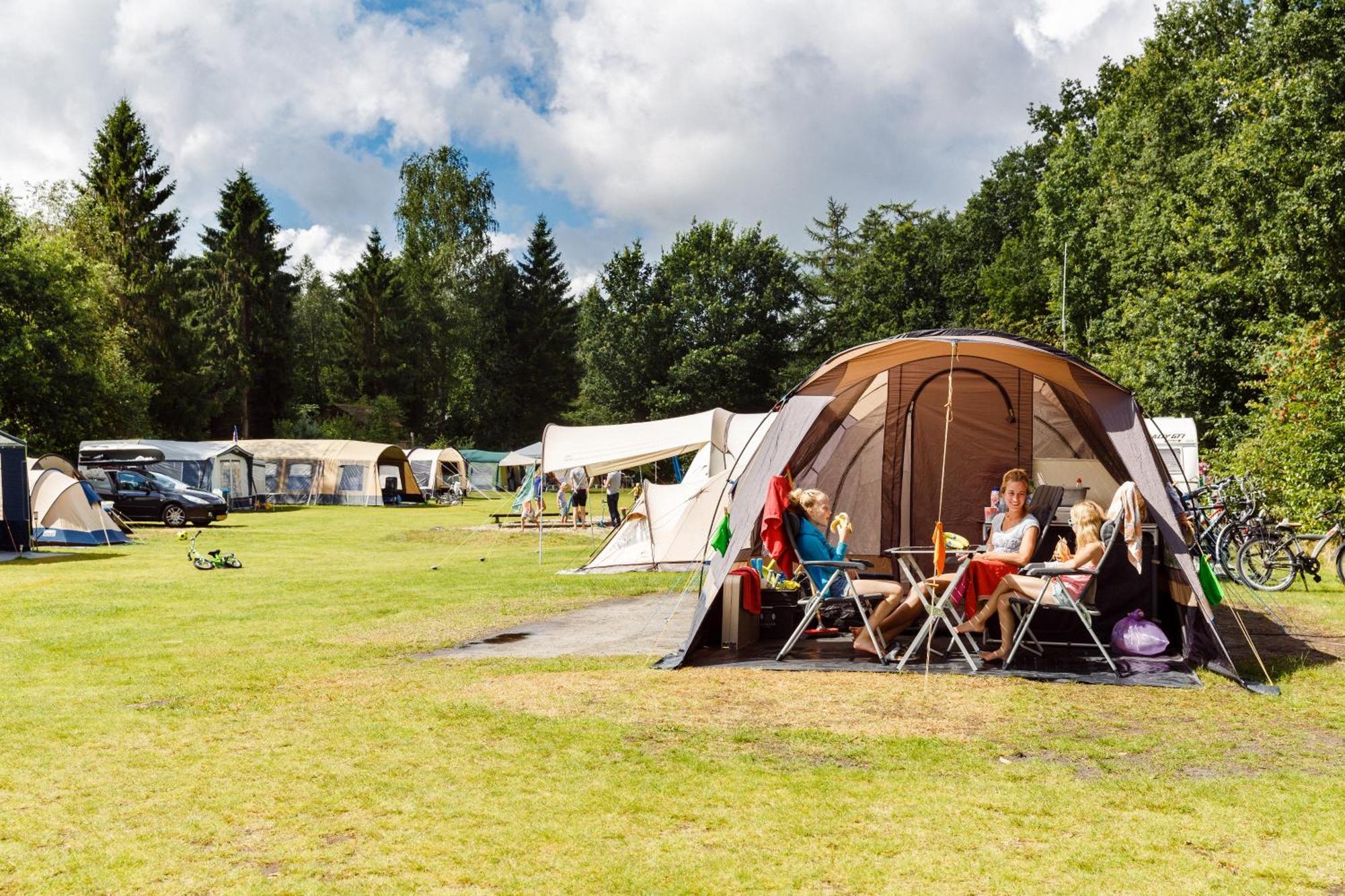 Rcn Vakantiepark De Roggeberg 아펠샤 외부 사진