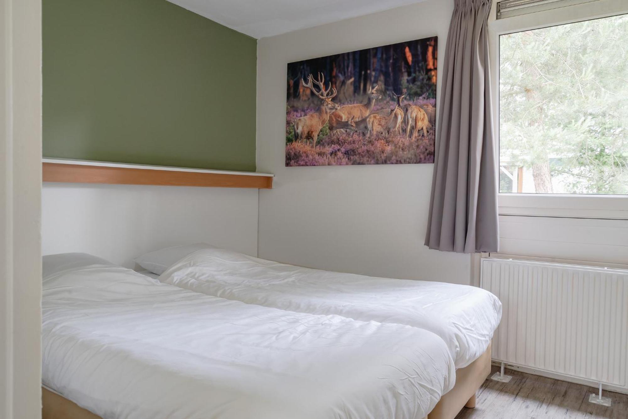 Rcn Vakantiepark De Roggeberg 아펠샤 외부 사진