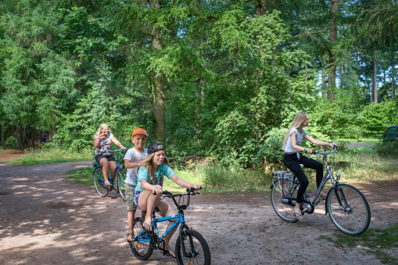 Rcn Vakantiepark De Roggeberg 아펠샤 외부 사진
